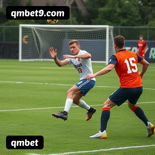 qmbet APP mobile iOS Android - 187 mil downloads São Paulo Rio BH